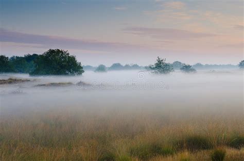 A Foggy Sunrise Stock Image Image Of Light Scenic Netherlands 23285845
