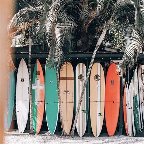 Surf Line Hawaii On Instagram ‘60s Classics Hau Blue And Monstera