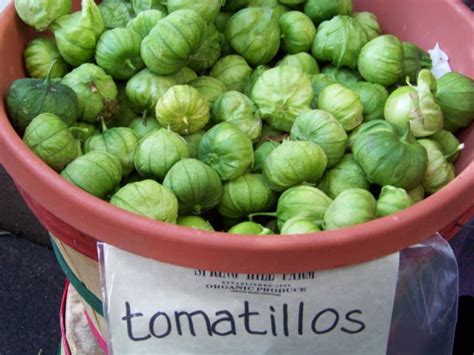 Tomatillo Toma Verde For Salsa 100 Seeds