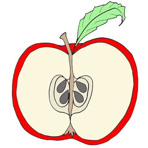 Free Sliced Apple Clipart