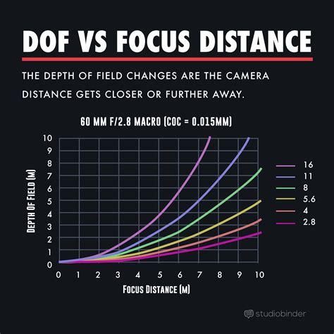 depth of field the essential guide for filmmakers [with examples]