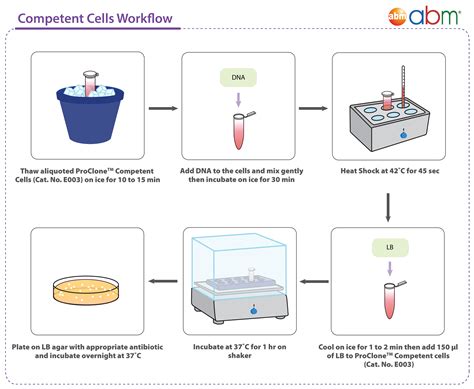 Proclone™ Competent Cells