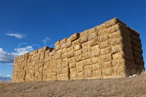 Large Pile Of Hay Bales Stock Image Colourbox