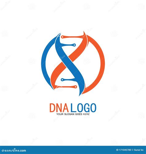 Dna Vector Logo Design Templatemodern Medical Logotypelaboratory