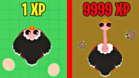 Mopeio New Birds Evolution Mopeio New Update Update Youtube