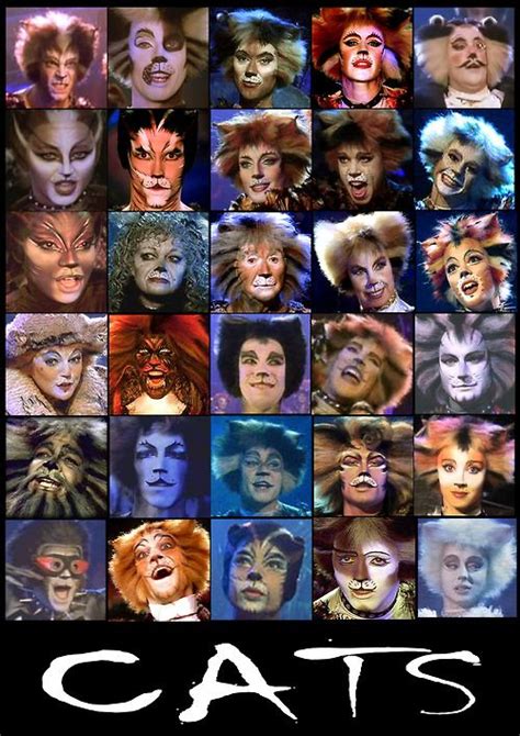 Cats The Musical I Appreciate That The Characters Are Pictured In