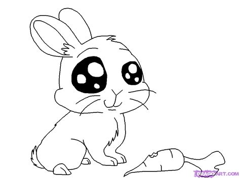 Animal sketches animal drawings drawing sketches sketching drawing ideas cartoon drawings cute drawings drawing techniques otters. Cute Cartoon Animals to Draw | how to draw an anime bunny step 5 | Cartoon drawings of animals ...
