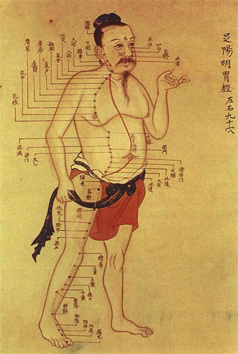 This Ancient Chinese Anatomical Atlas Changes What We Know About