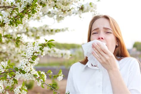 Allergy Season Tips Apocalyptico News