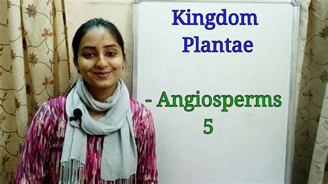 Sub Division Angiosperms Biological Classification Part 9 Class Xi
