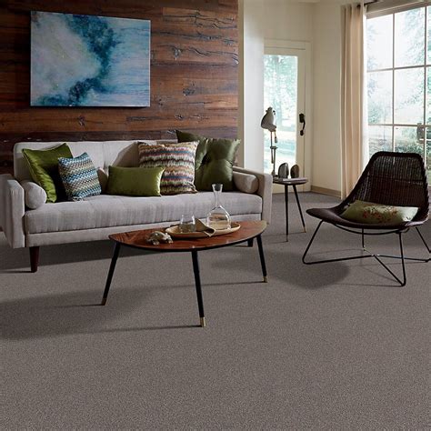 Shaw Floors Caress By Shaw Cozy Harbor I Ridgeview 00751cc78b Carpet