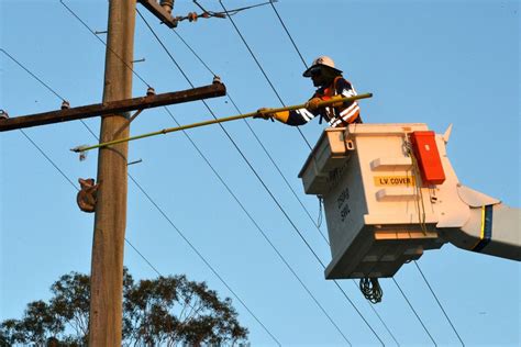 Energex Says Wildlife Caused 1000 Homes And Businesses To Lose Power