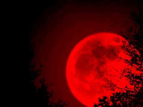 1,267 likes · 4 talking about this · 1,272 were here. ΒΑΣΙΛΗΣ ΠΑΠΑΚΩΝΣΤΑΝΤΙΝΟΥ - ΓΙΑ ΣΕΝΑ - YouTube