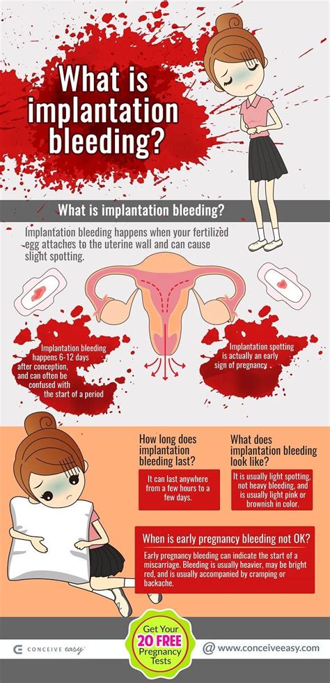 Bleeding In The First Month Of Pregnancy Heavy Pregnancywalls