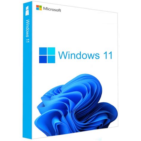 Microsoft Windows 11 Professional 1pc Upgrade Or Fresh Install