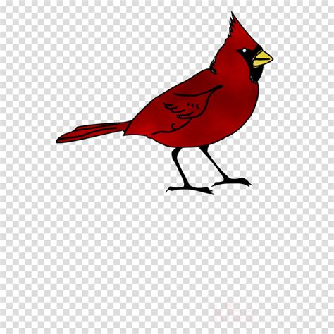 Download High Quality Cardinal Clipart Silhouette Transparent Png