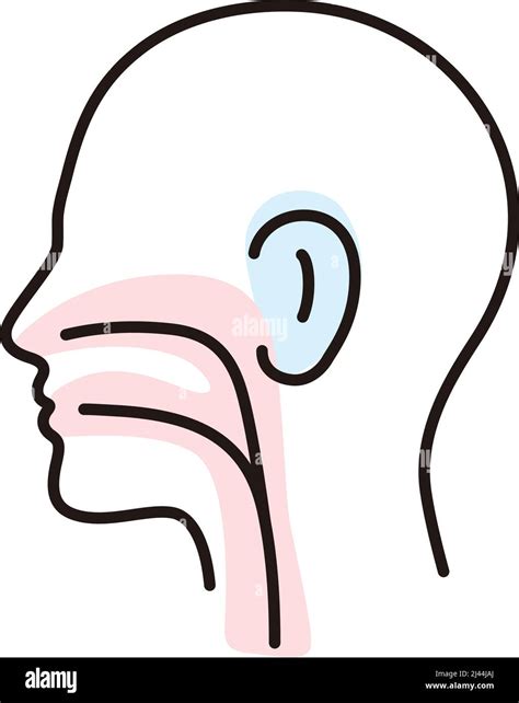 Human Organ Throat Ear Nose Flat Icon Vector Illustration Stock Vector