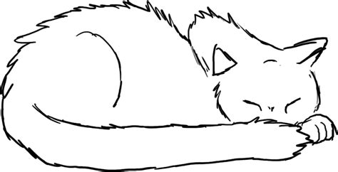 Sleeping Cat Drawing Clipart Best Drawings Cat Drawing
