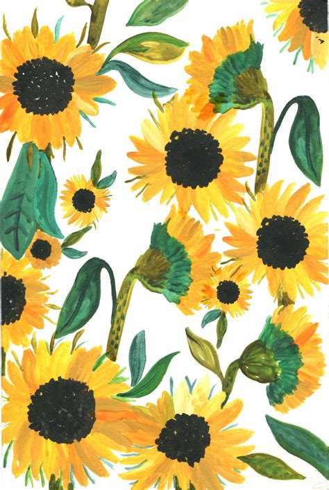 Sunflower Wallpaper Clipart