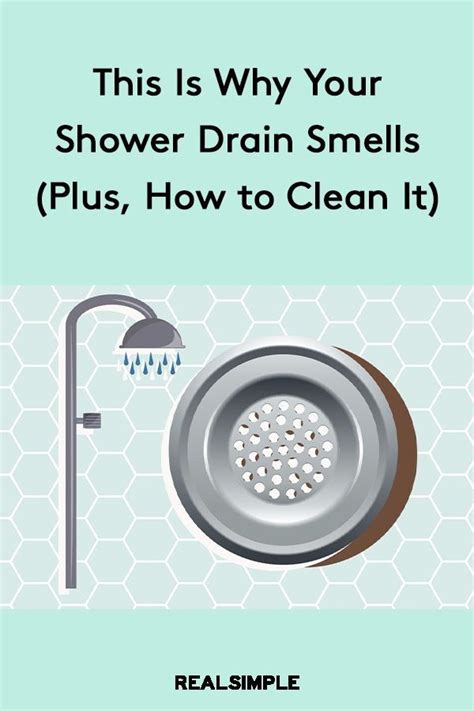 You walk into the kitchen or bathroom and instantly detect an unidentified odor. This Is Why Your Shower Drain Smells (Plus, How to Clean ...