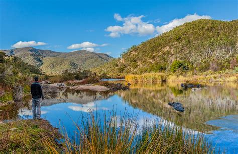 Lower Snowy River Area Nsw National Parks