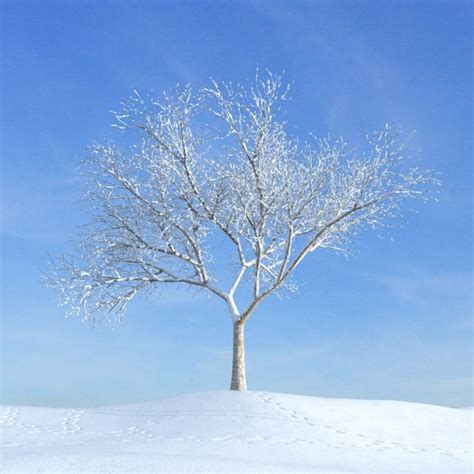 Bare Tree On A Snow Covered Hillside In The Winter 3d