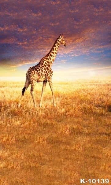 African Safari Themed Giraffe Backdrop Photography Background