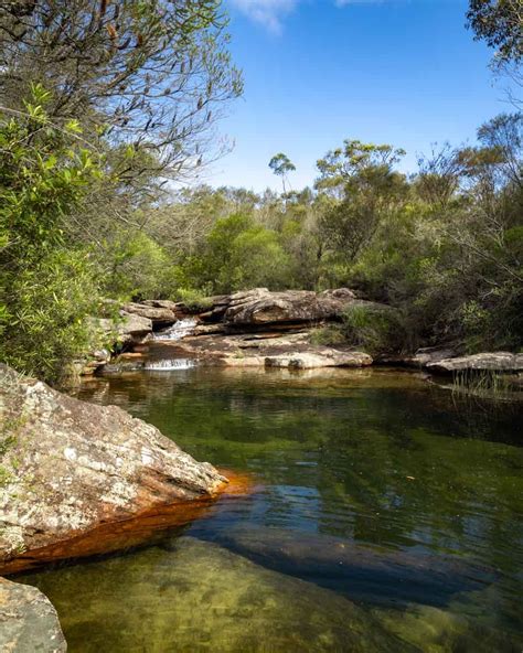 Crystal Pool A Stunning Hidden Swimming Hole In Royal National Park