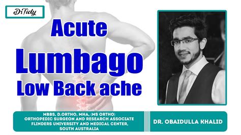 Acute Lumbago Low Back Ache Everything You Need To Know Dr