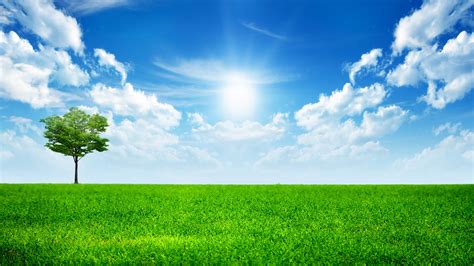 Sunny Bright Day Wallpapers Hd Wallpapers Id 13195