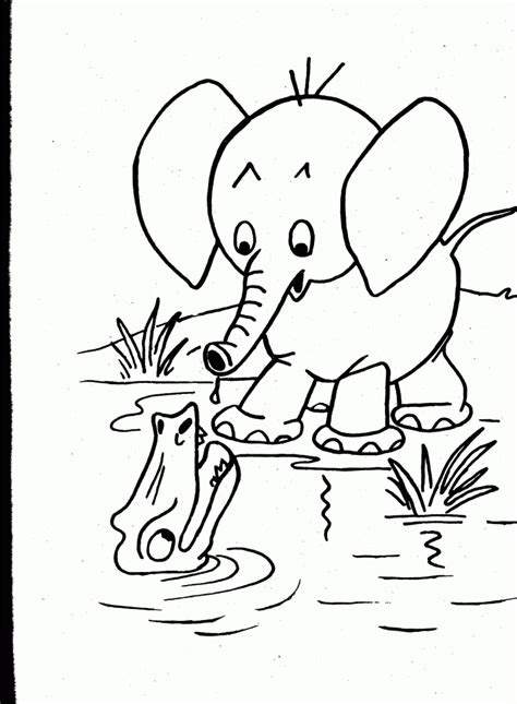 Print coloring of wild animals and free drawings. Coloring Pages Of Wild Animals - Coloring Home