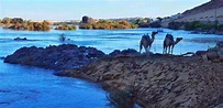 尼罗河文化历史：虽是世界上第一长河，其他河流特征并不突出_百科TA说