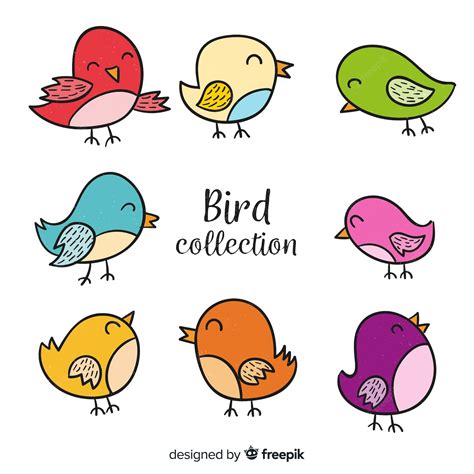 Colorida Colección De Aves Dibujadas A Mano Vector Gratis