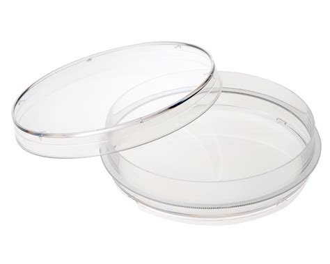 100mm X 20mm Petri Dish Bellco Glass Laboratory Glassware