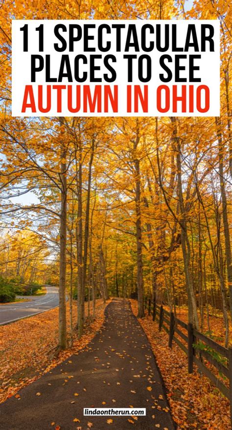 11 Best Places To See Fall Foliage In Ohio Ohio Vacations Places To