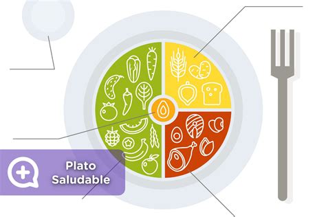 As Es Como Debe Ser El Plato Saludable Mediquo