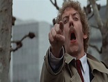 Invasion of the Body Snatchers (1978) - Midnite Reviews