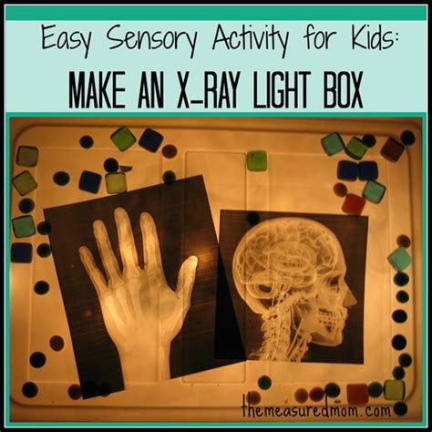 Easy Sensory Activity for Kids: Make an X-Ray Light Box! - The Measured Mom