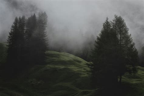 Low Light Photo Of Mountain With Pine Trees Covered With Fogs · Free