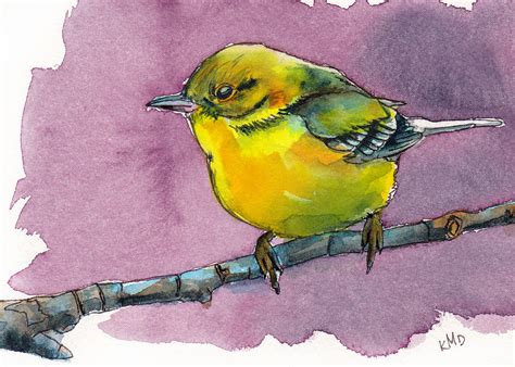 Little Yellow Bird Watercolor Painting And Prints By Kris Debruine Studio