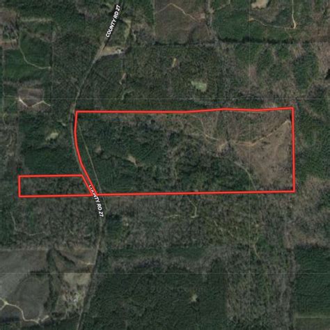 165 Acres Sumter County Hunting Club Hunting Club