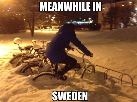 meanwhile in sweden funlexia funny pictures