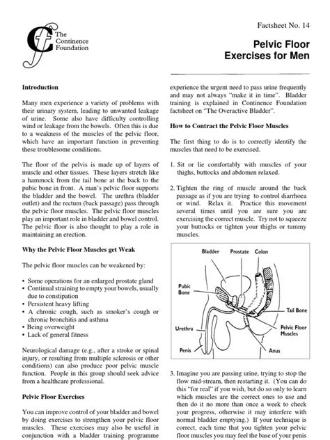 5 exercises for a strong lower back (no more pain!) calisthenicmovement. Pelvic Floor Exercises for Men Info Sheet | Urinary ...