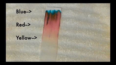 Chromatography Of Black Ink Using A Tissue Paper Separating Black Ink