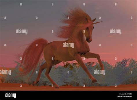 Arabian Unicorn Hi Res Stock Photography And Images Alamy