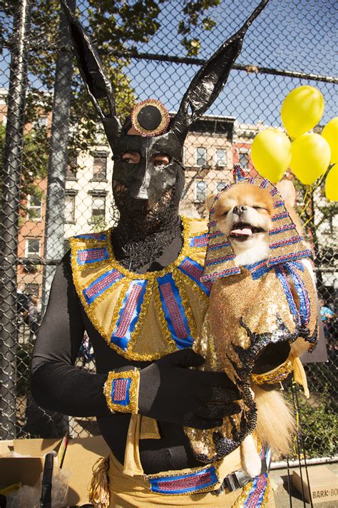 Doggone Cute Photos Of New Yorks Canine Costume Contest Vice