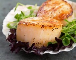 How to Cook Scallops- Perfect Pan Seared Scallops