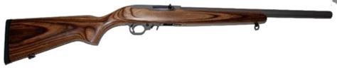 Scottsdale Gun Club Ruger 1022 Stainless Target