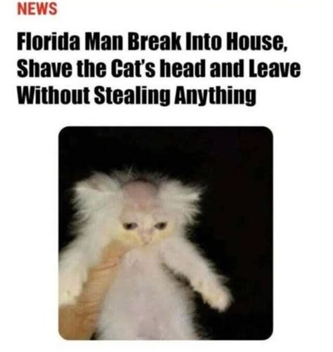 Breaks Into House Shave Cats Head Refuses To Elaborate Further