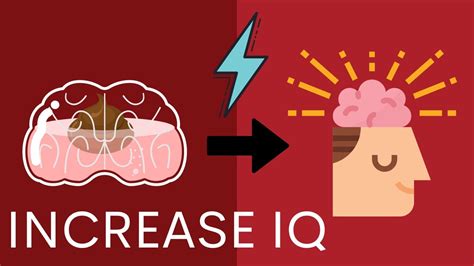 How To Increase Iq Everyday 5 Simple Steps Become Smarter Starting
